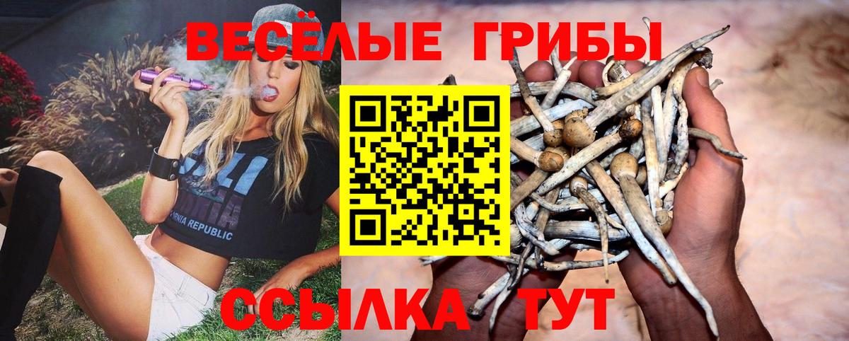 Трёхгорный  Псилоцибиновые грибы мицелий  Вход с VPN 